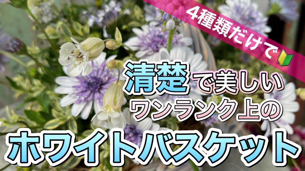 斑入りシレネを使って簡単なのに上級者の仕上がりになる寄せ植え【寄せ植え道場】