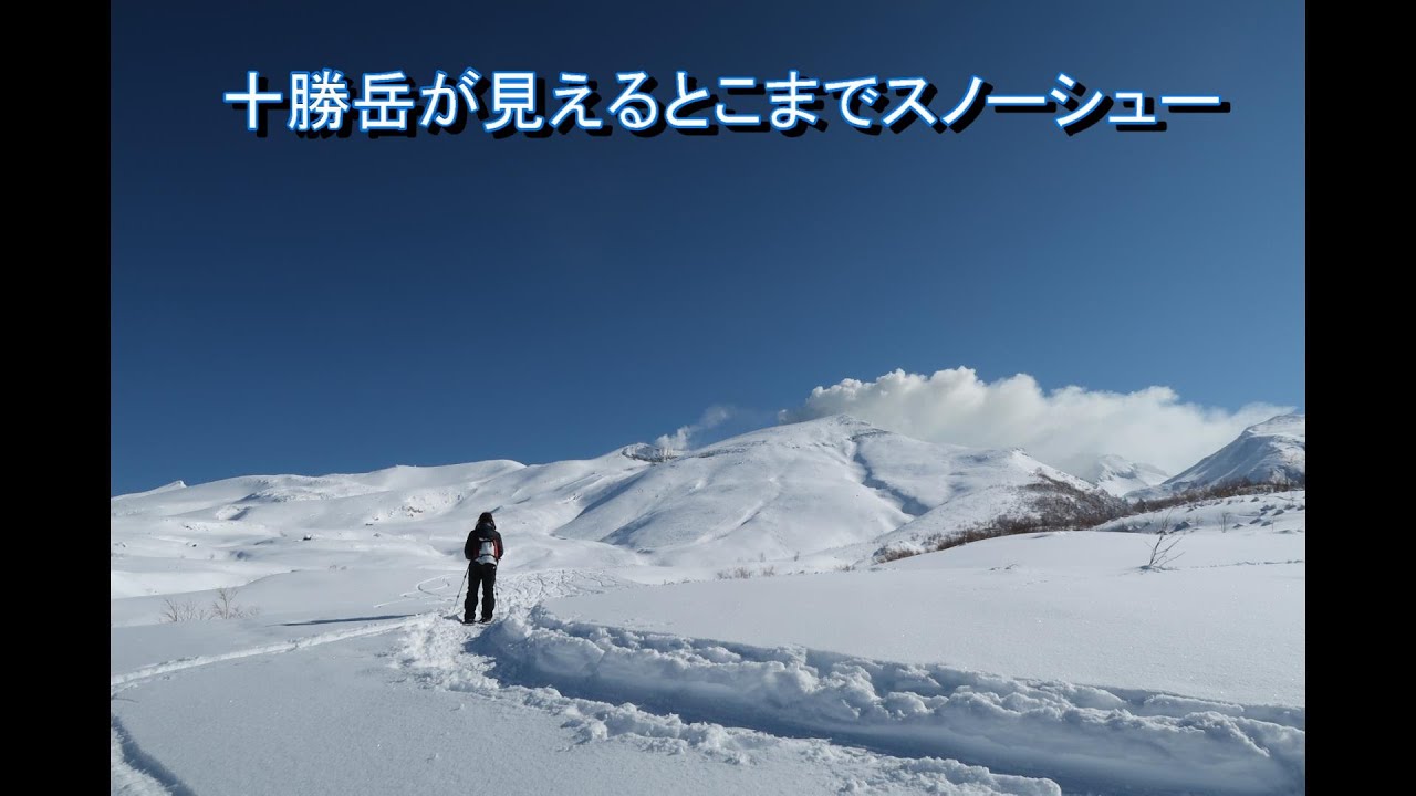 十勝岳が見えるとこまでスノーシュー