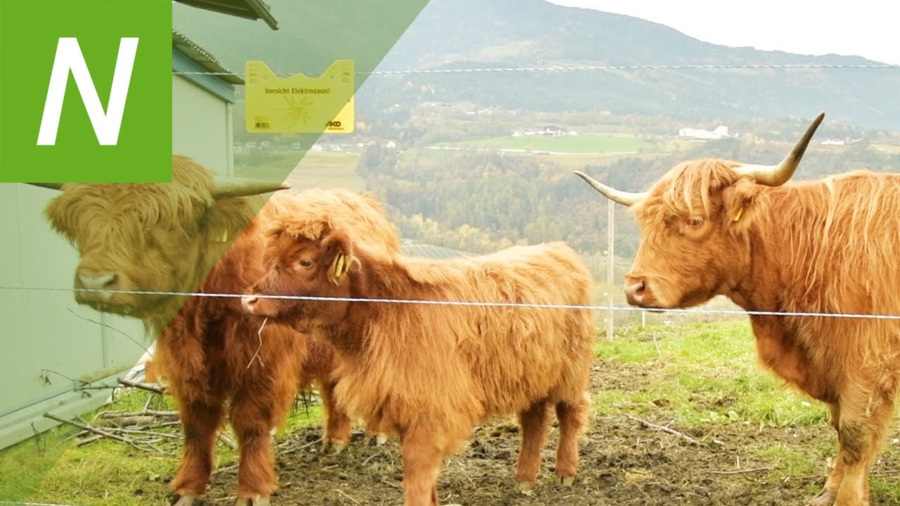 Lernfreunde Roanerhof