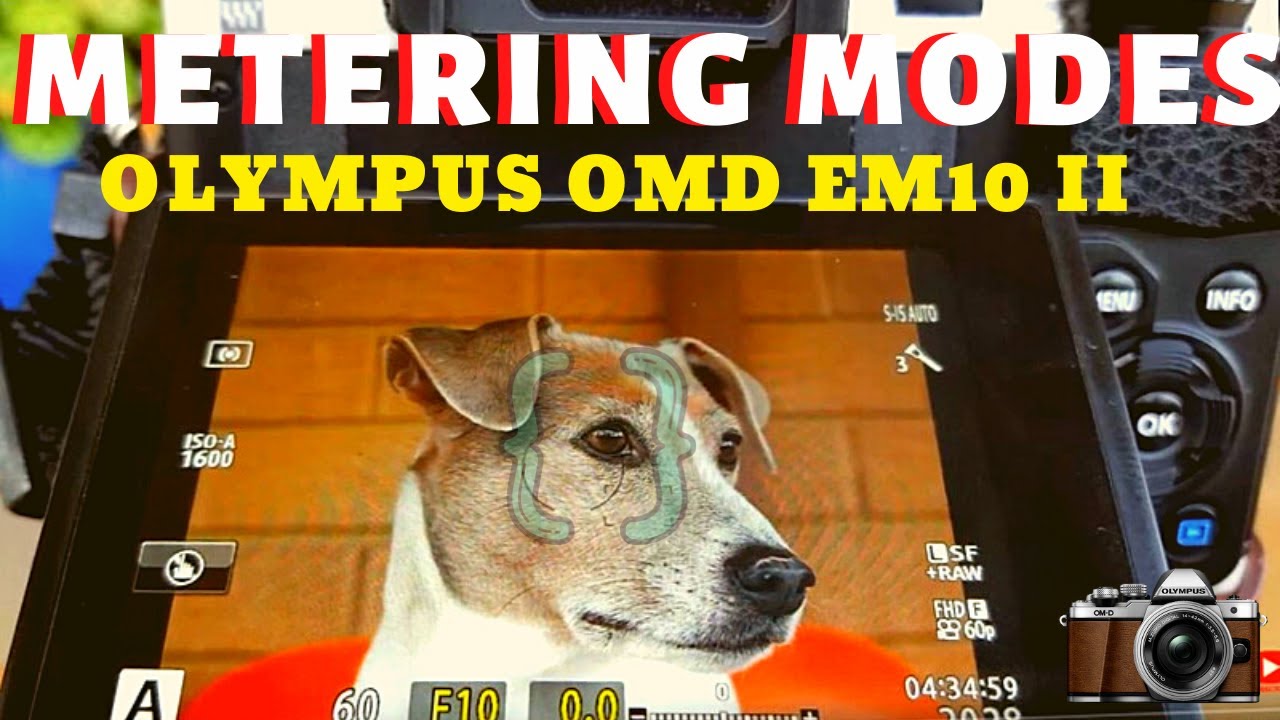 Learning the Metering Modes on Olympus OMD EM10 Mark II - EP019