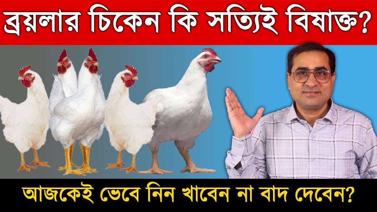 ব্রয়লার মুরগি কি বিষাক্ত/ ব্রয়লার মুরগি খেলে কি কি হতে পারে?🤪 Side effects of Broiler Chicken 🐔