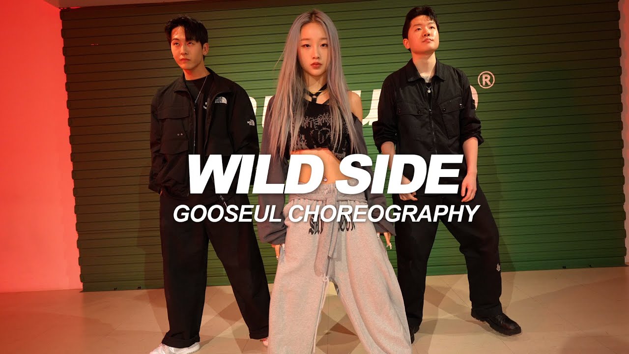 Normani - Wild Side | Gooseul Choreography
