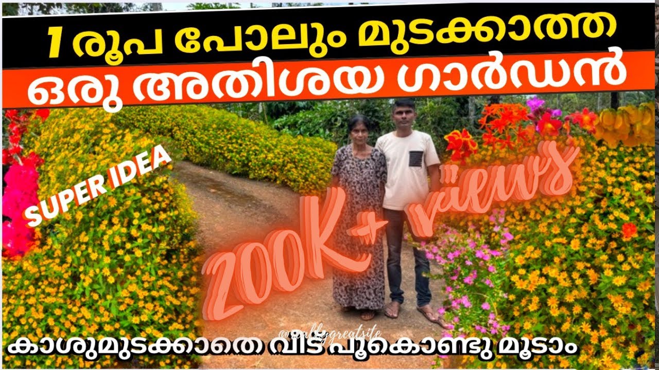 സ്വപ്നത്തിൽ പോലും ചിന്തിക്കാത്ത സീറോ ബഡ്ജറ്റ് ഗാർഡൻ അതിശയിപ്പിക്കുന്ന ഒരു ഐഡിയ😱#zero budget Garden