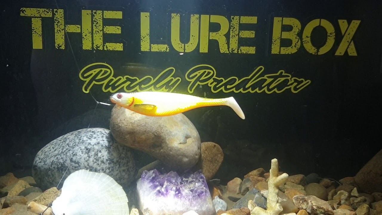 Westin Shad Teez 9cm on  drop shot, check that roll with slight flow