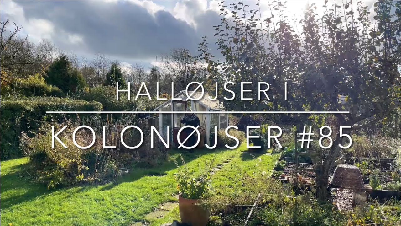 Hvidløg del 2 #85 - 12. november 2025
