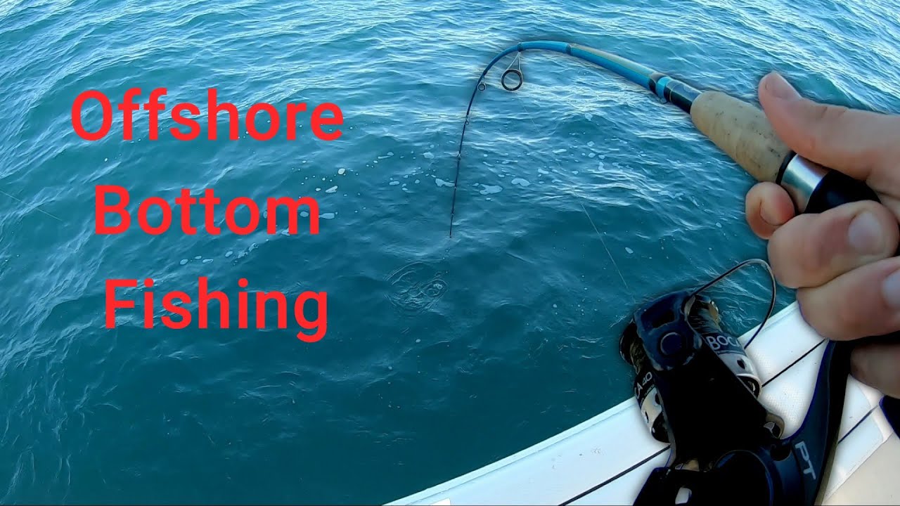 Carolina OFFSHORE fishing! Tons of Grouper, Snappers & More!