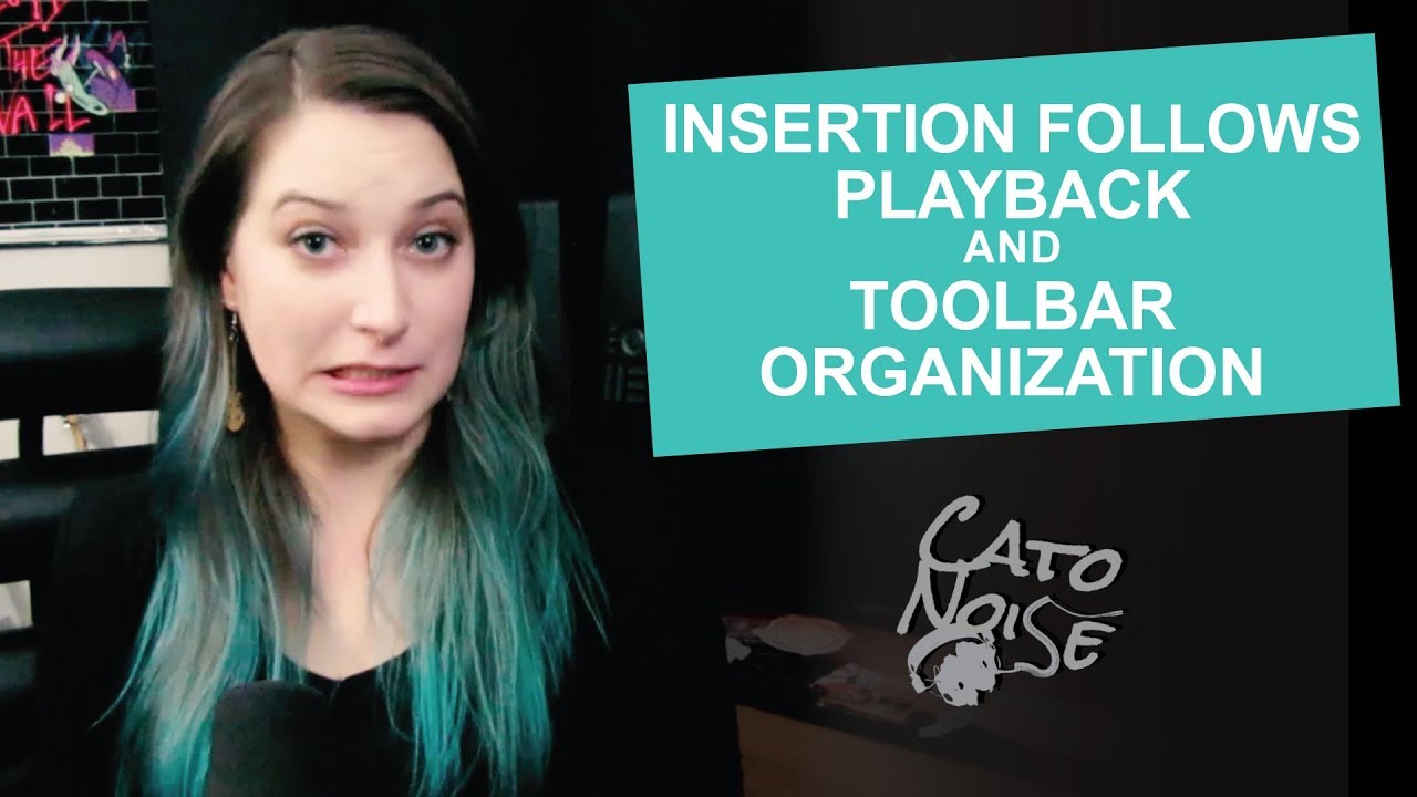 Essential Pro Tools Settings: Insertion Follows Playback & Toolbar Organization