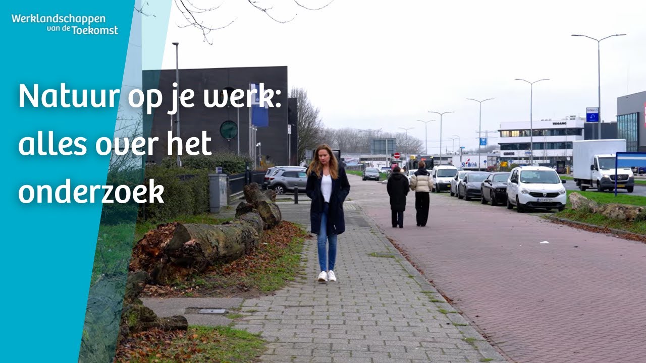 Onderzoek: invloed van vergroening op de gezondheid en productiviteit van werknemers