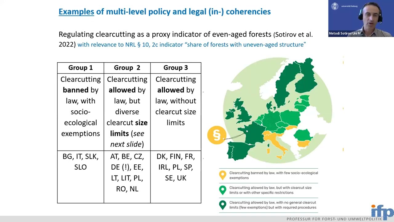 Policy (in)coherences under the framework of the Nature Restoration Law, Forest Restoration Talk