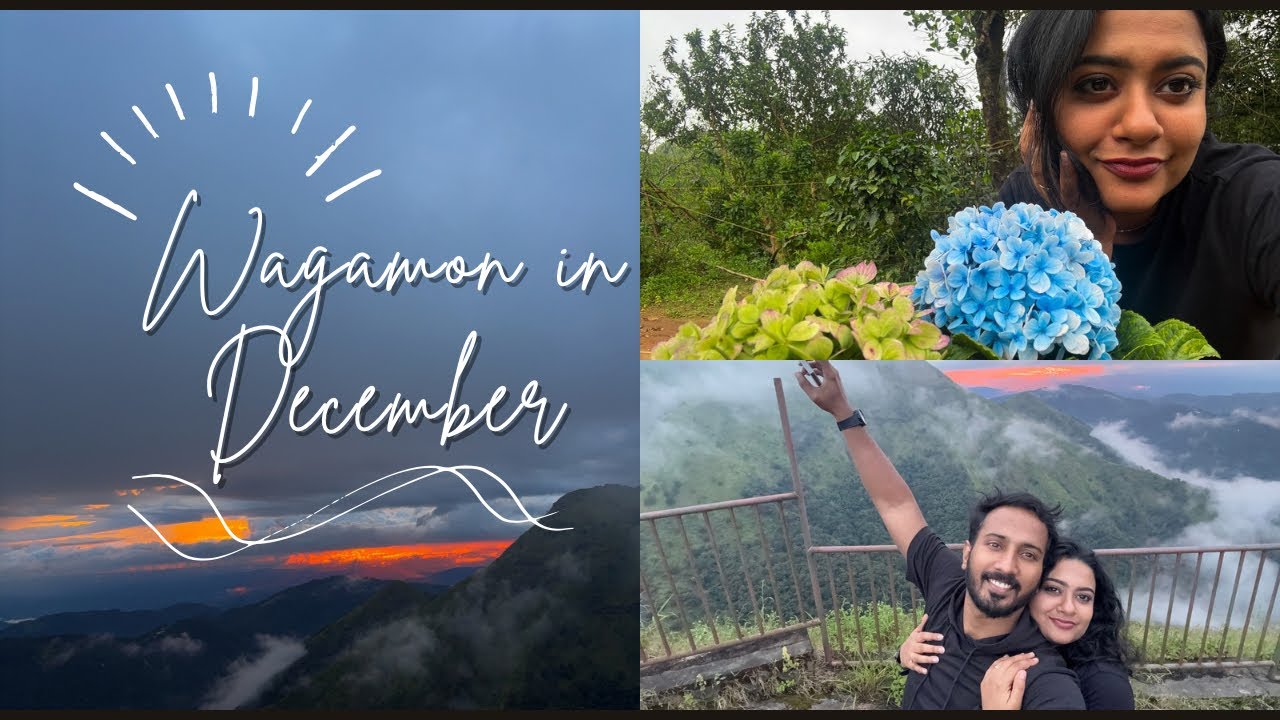 ❄️ Wagamon in December 🌿