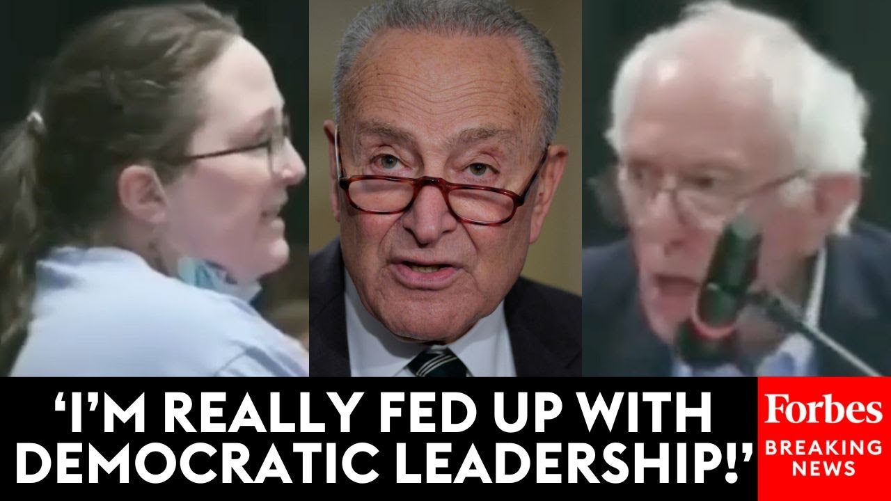 Voter Takes Swipe At Chuck Schumer & Asks Bernie Sanders If Dem Leaders Need A 'New Playbook'