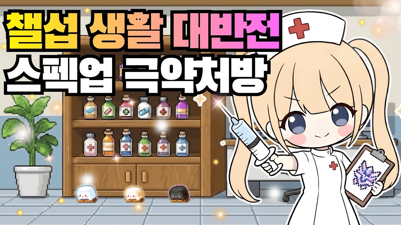 [메이플] 챌섭 생활을 180도 바꾸는 '극약처방' 가이드! (4만점/추가 스펙업)