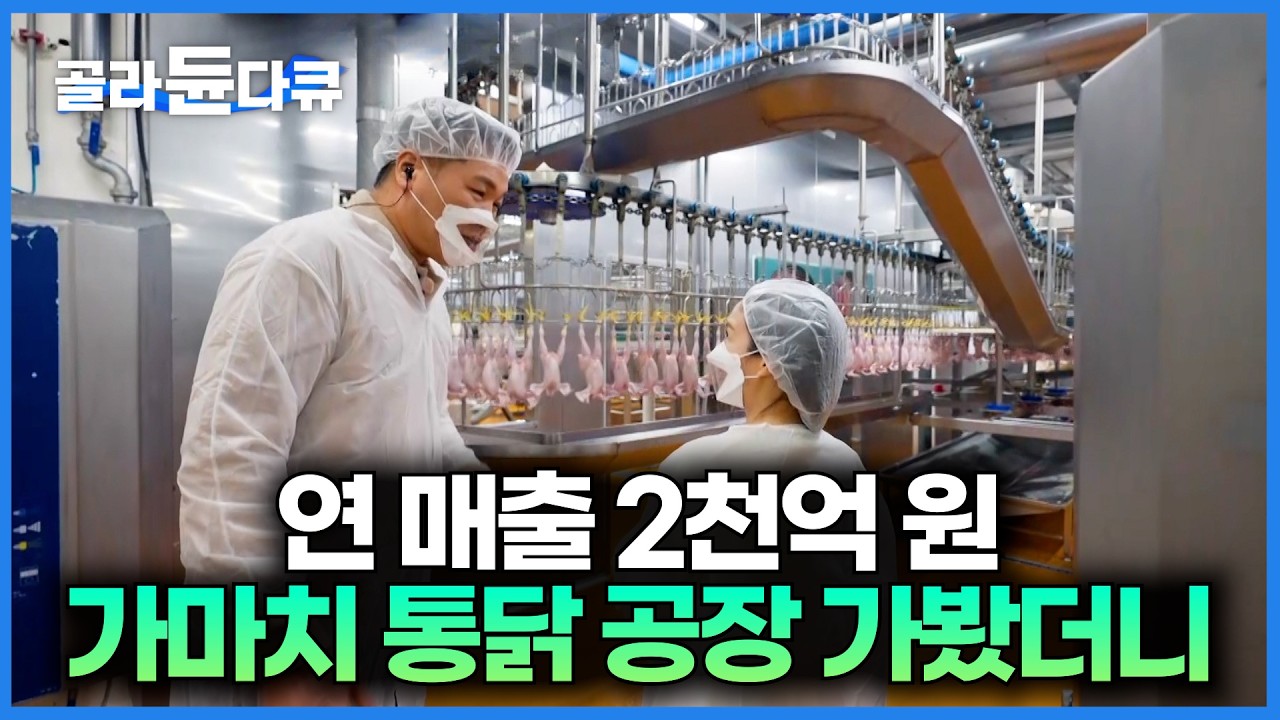창업 8년 만에 가맹점 830개 돌파한 가마치 통닭 공장을 찾아가봤더니｜한 마리 닭이 치킨으로 탄생하는 과정｜서장훈의 이웃집 백만장자｜#골라듄다큐