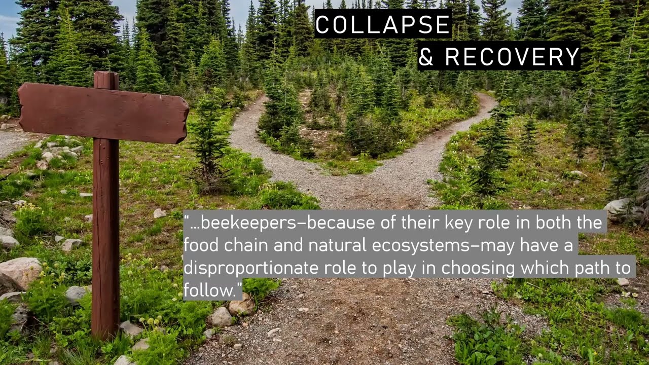 What is Treatment Free Beekeeping? | Is it Sustainable or Can it Be?