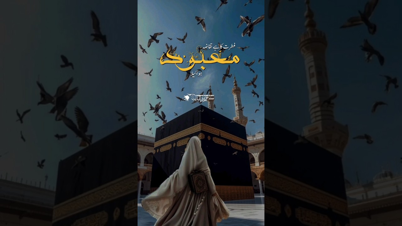 Amazing Kalam 2025 - La Ilaha Illallah - Zaheer Usmani - New Naat Sharif 2025