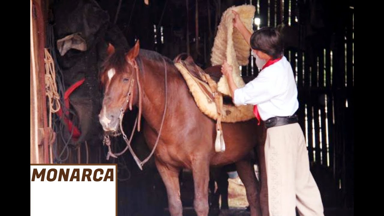 Monarca - Ga&uacute;cho da Fronteira