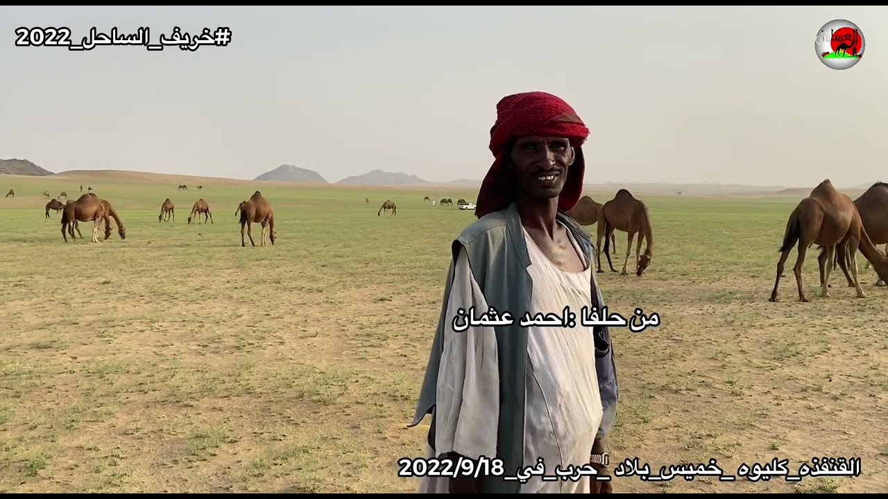 العساس_القنفذه_القوز_حلي