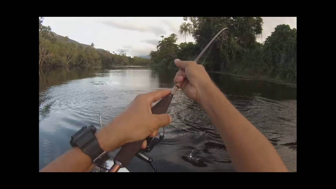 TT Lures BuzzlockZ - Surface Barra - strikes and jumps