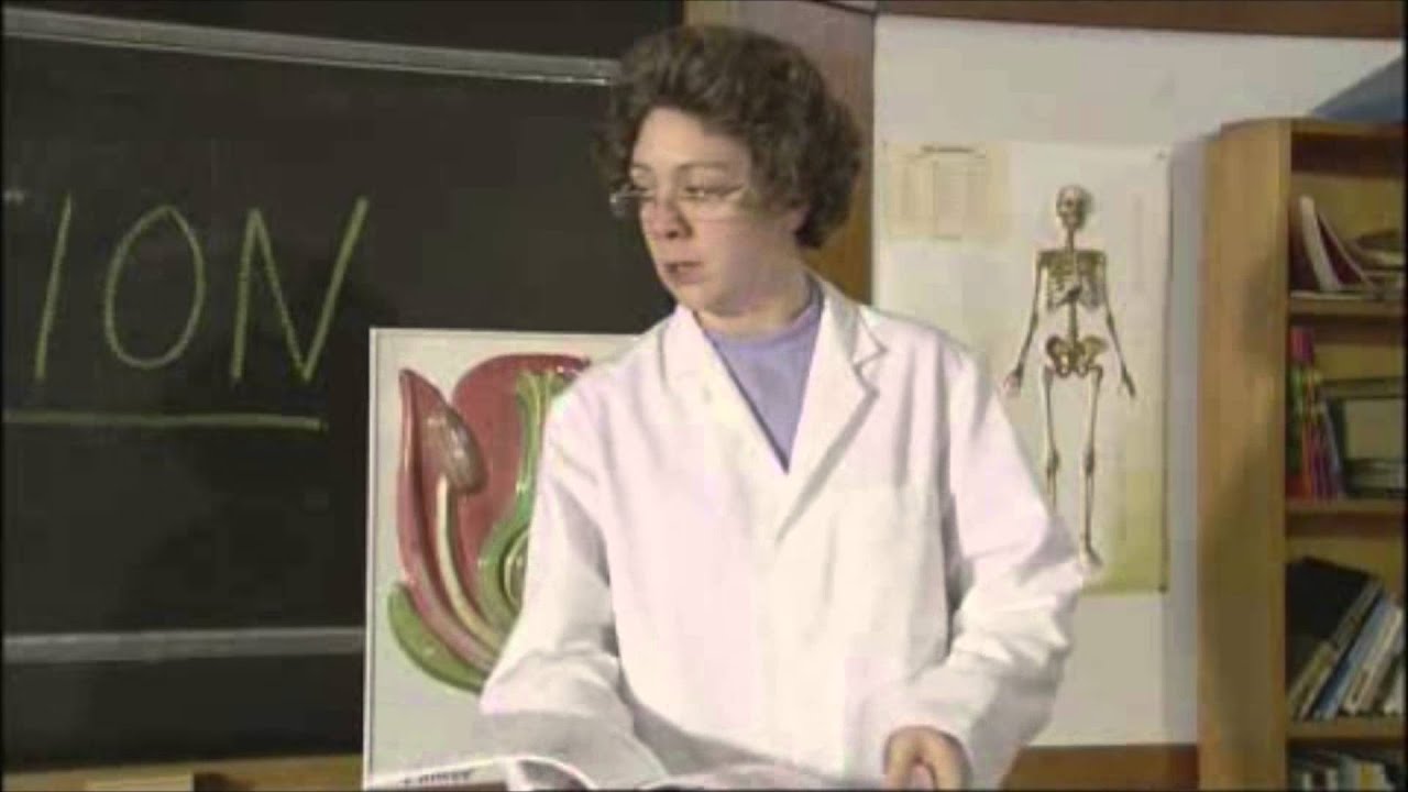 Reproduction | Chewin the Fat | The Scottish Comedy Channel