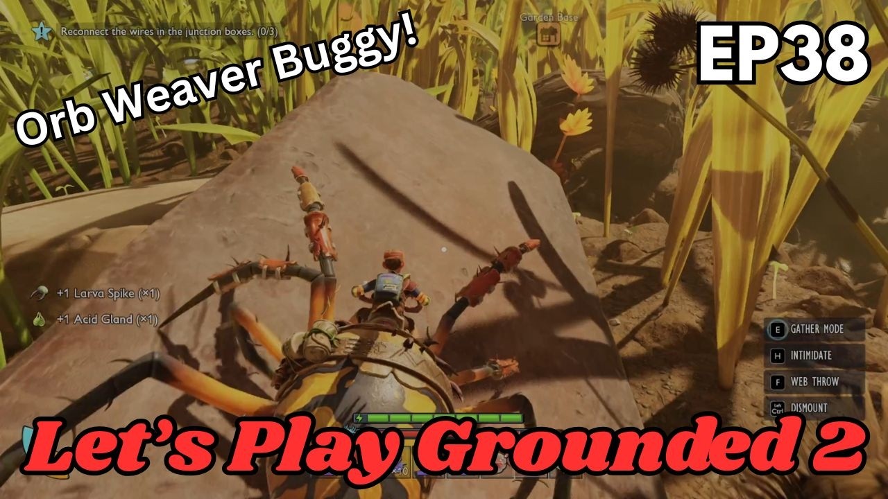 We have a Spider Buggy!! | Raptor X | Let's Play Grounded 2 EP38