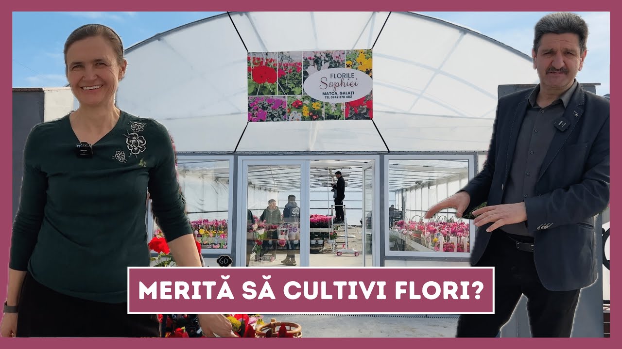 Un început în floricultură! Afacere de familie.
