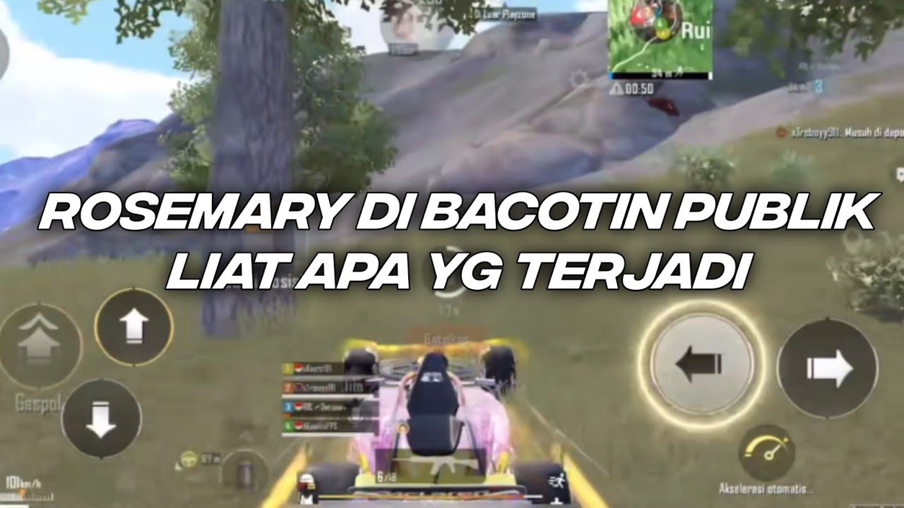 Rosemary lagi prank malah di katain .. Langsung di kasih wwcd ga tuh