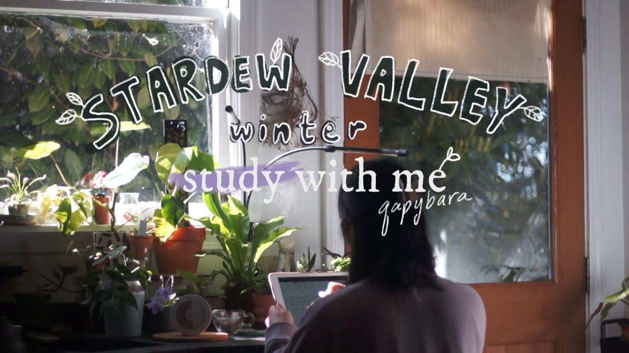 study with me 🌾 | stardew valley❄️winter music | 1 hour 25/5 pomodoro with timer