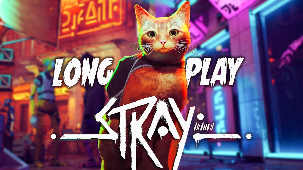 STRAY PO POLSKU czyli PRZYGODY KOTA 😻 CAŁA GRA / LONGPLAY - 4K