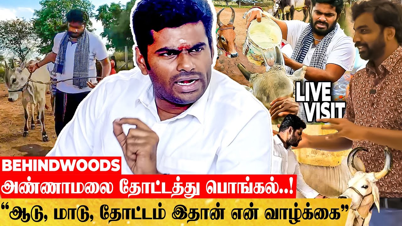 பரபரப்பு அரசியல்வாதி To எளிமையான விவசாய வாழ்க்கை..! அண்ணாமலையின் மறுபக்கம் இதான். #throwback