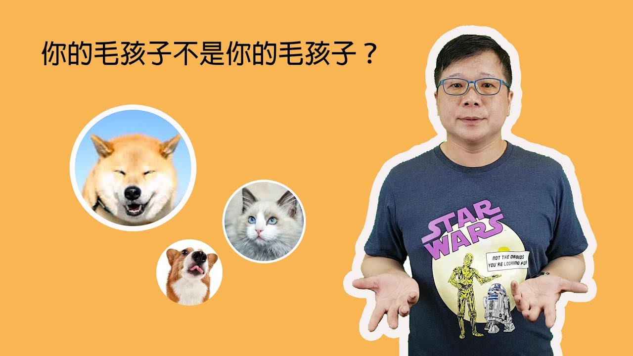 我去世之後，誰來照顧我的寶貝寵物呢?〈寵物信託〉篇｜廖震老師｜廖震說法｜