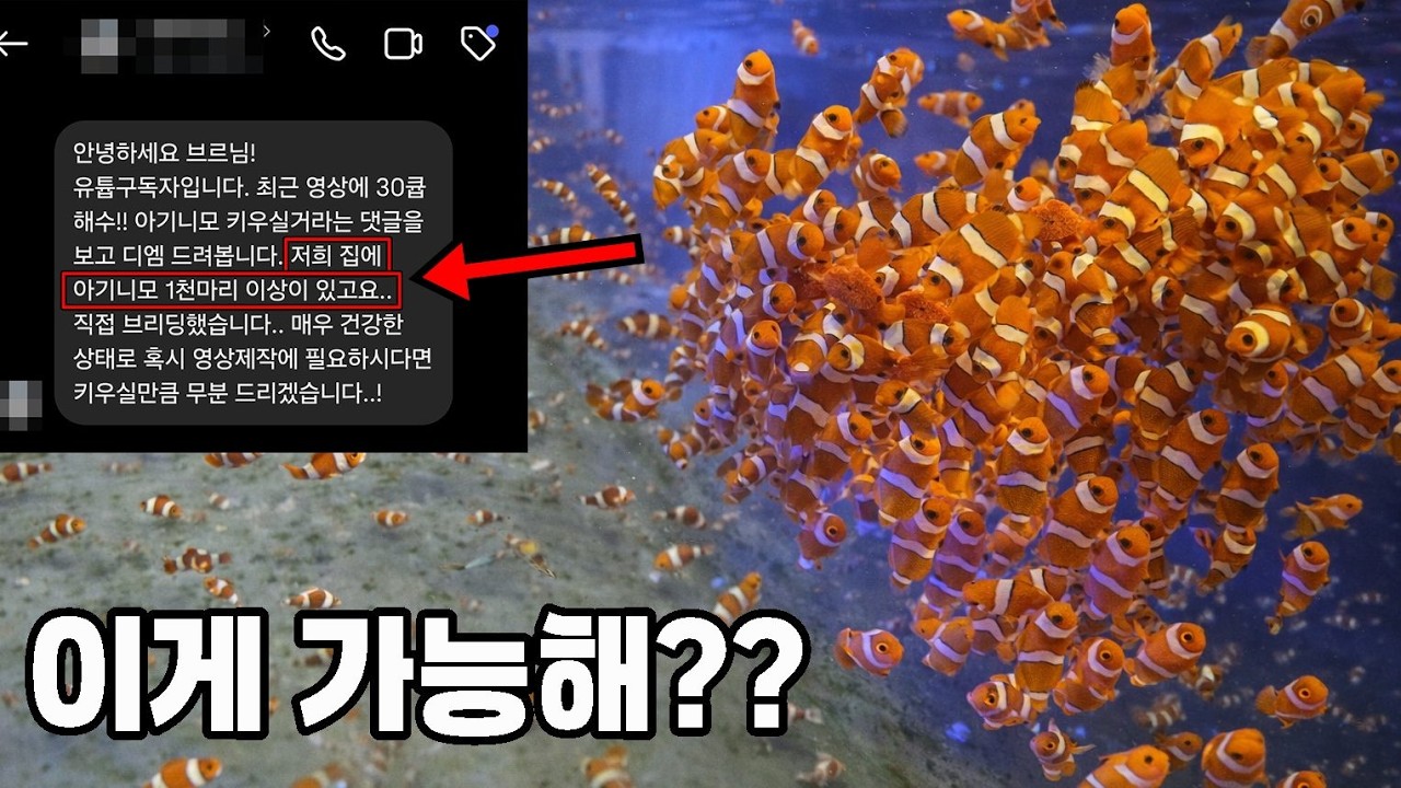 ※충격제보) 니모 1000마리 키운다길래 직접 가봤는데...1쌍 200만원이요?