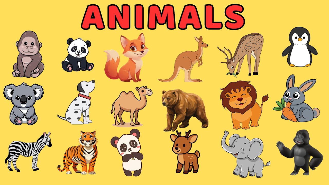 20 Animals Names for Kids | Animals Names for baby