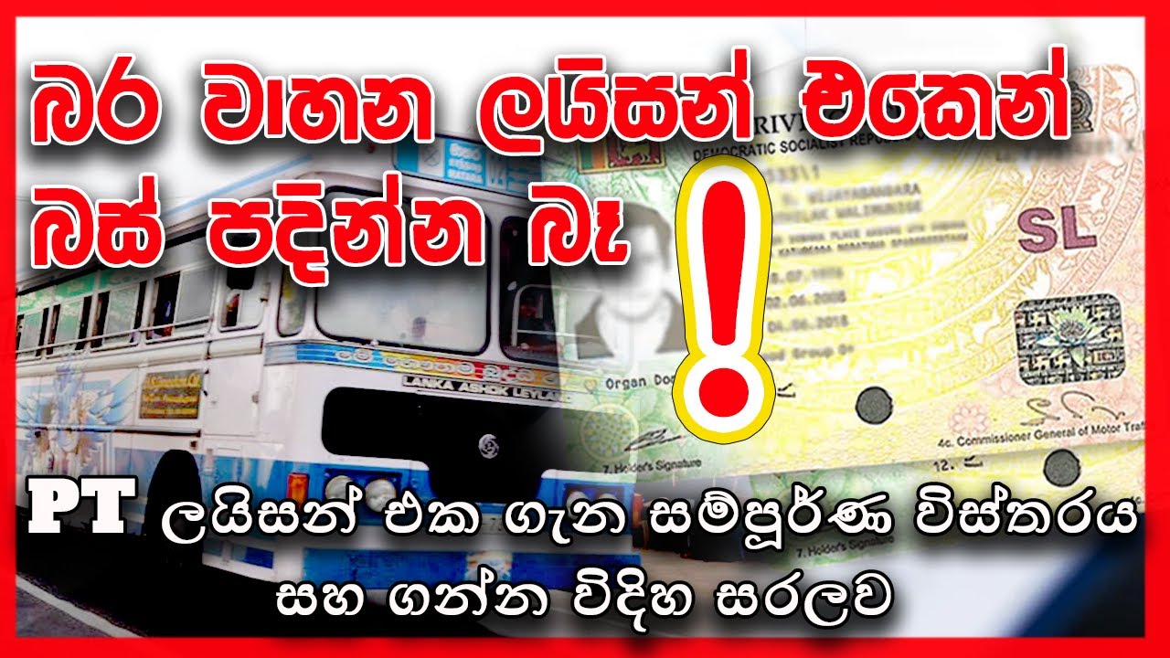 PT නැතුව බස් පදින්න බෑ || PT License || Public Transport License Sri Lanka || Be a Bus Driver
