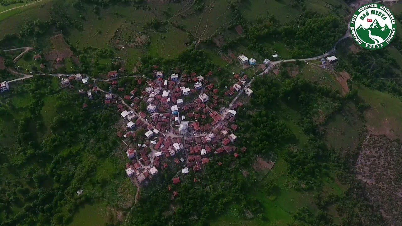 Muhteşem Burunca