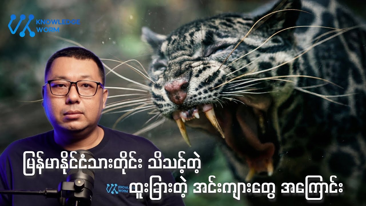 ရင်းနှီးပေမယ့် အချက်အလက်ရှားပါးတဲ့ အင်းကျားတွေ အကြောင်း