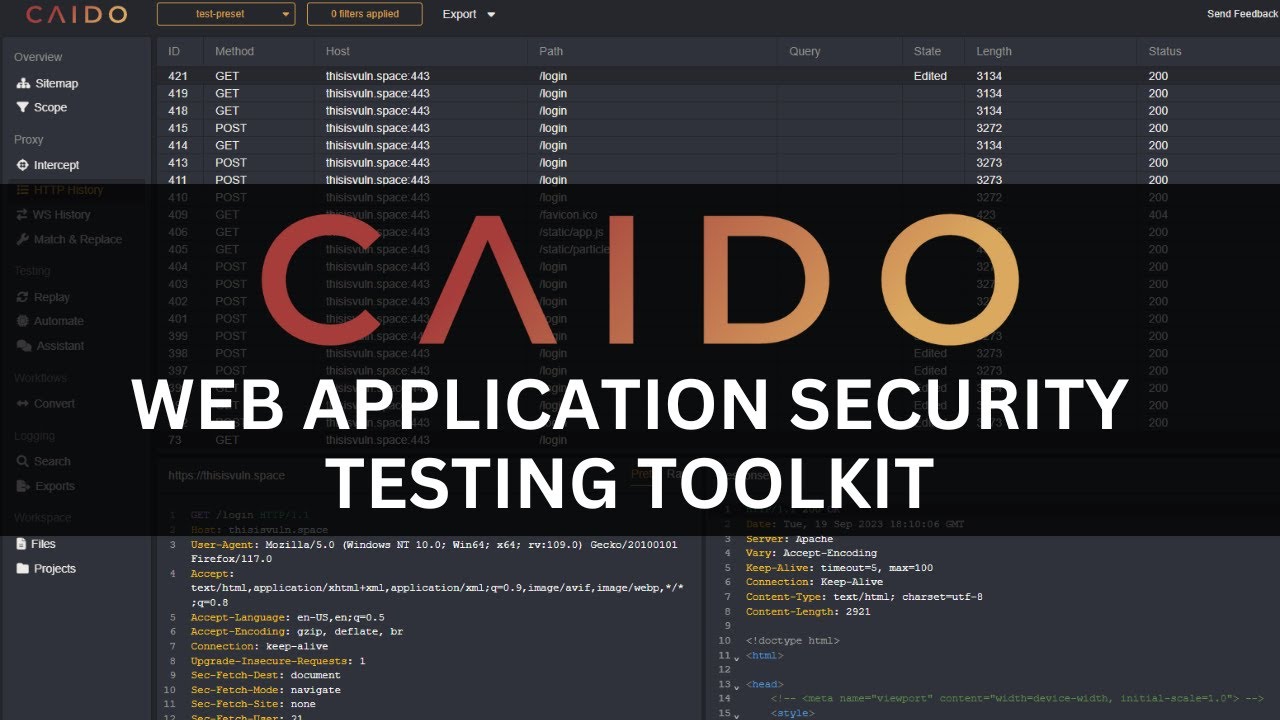 Web application security testing with Caido