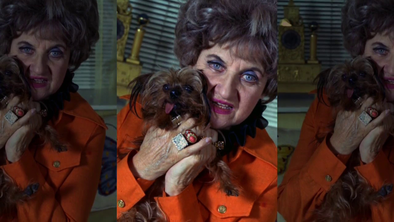 HERMIONE GINGOLD TRIBUTE