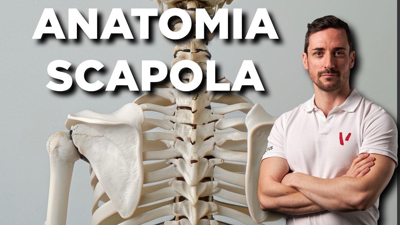 Anatomia della scapola