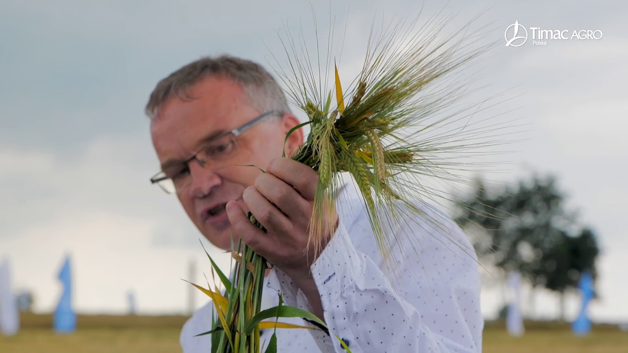 Wpływ Warunków Pogodowych na Uprawy | Panorama Pól Timac Agro 2020