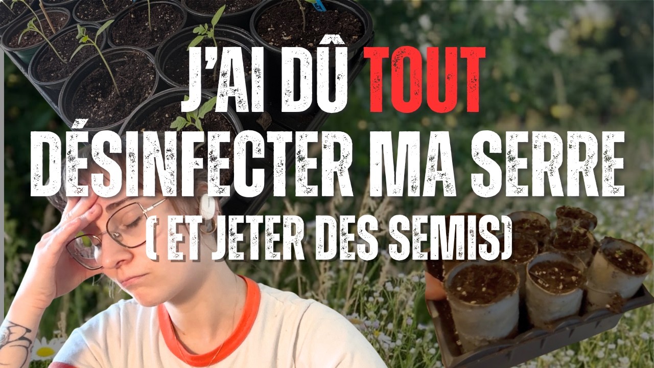 Mon premier jardin… et j’ai perdu la moitié de mes semis 😅🌱