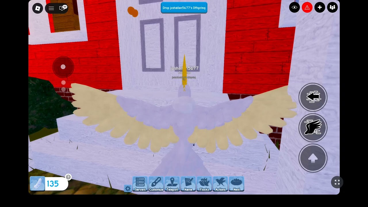 Today  I played feather family #birds #buffalo #kidsvideo 
