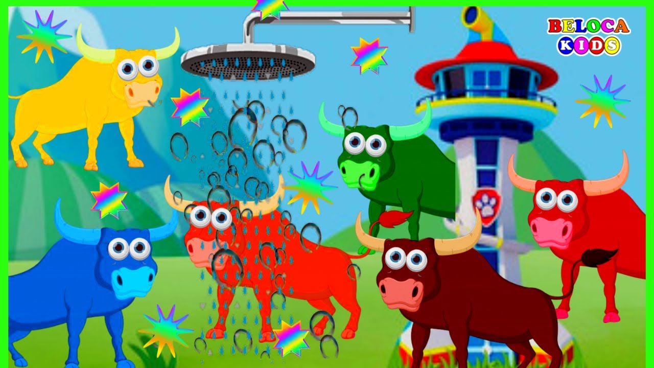 PINTA E LIMPA BOI DA CARA PRETA 🐂🎨LEARN COLOR 🎨
