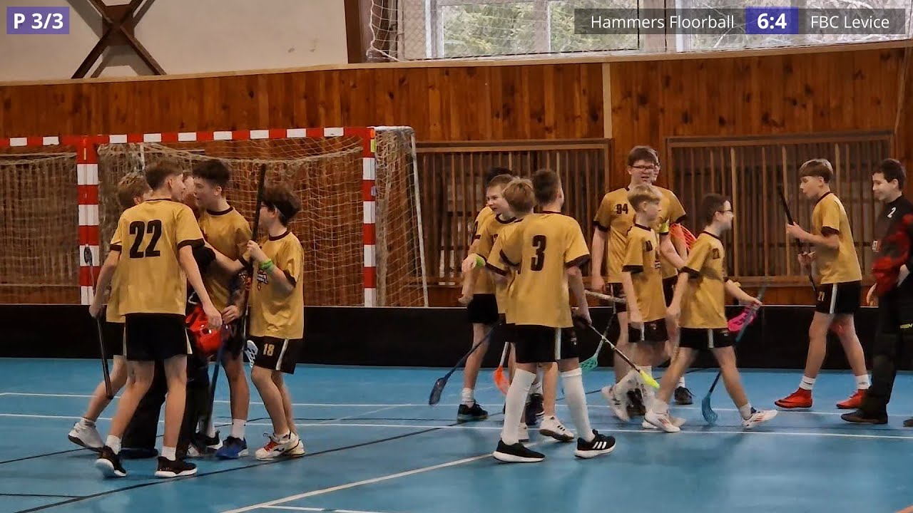 09.02.2025 - HFL (6:4)  FBC Levice