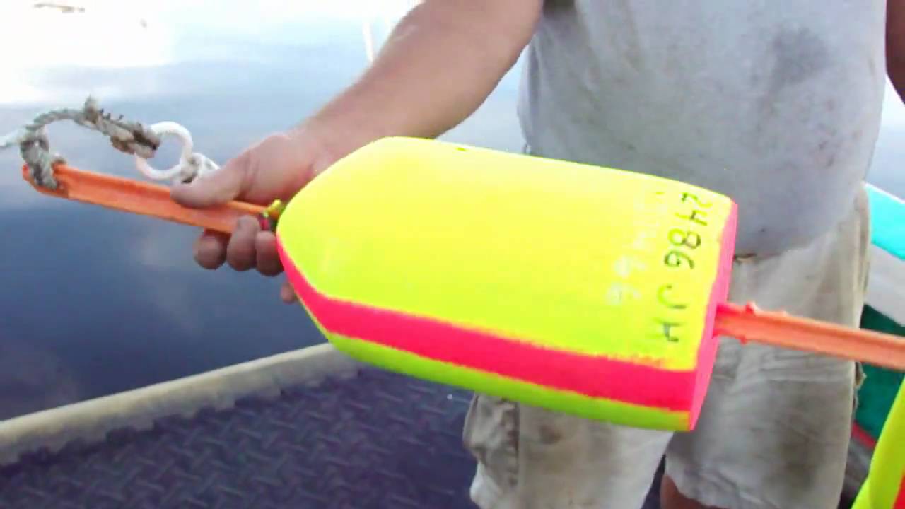 Anatomy Of A lobster Buoy Video With Doc Herrick