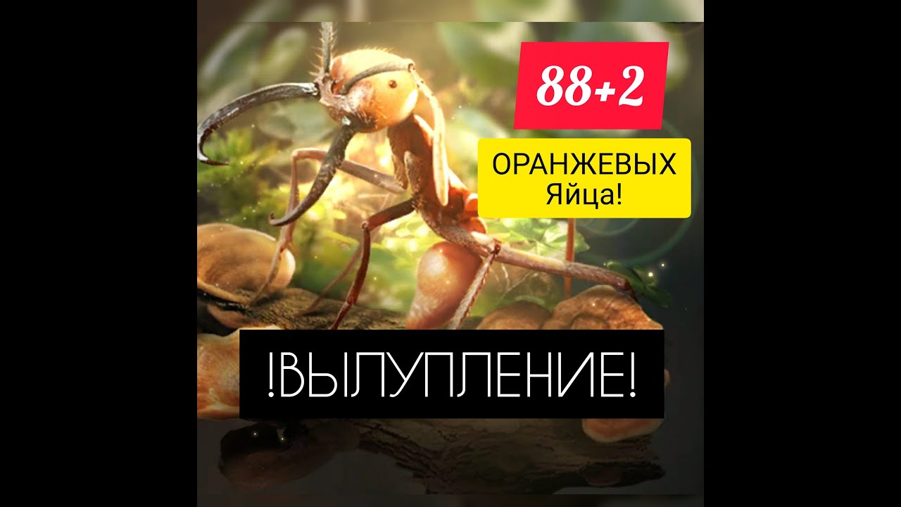 90 ОРАНЖЕВЫХ ЯИЦ! КТО МНЕ ВЫПАДЕТ? The Ants: Underground Kingdom