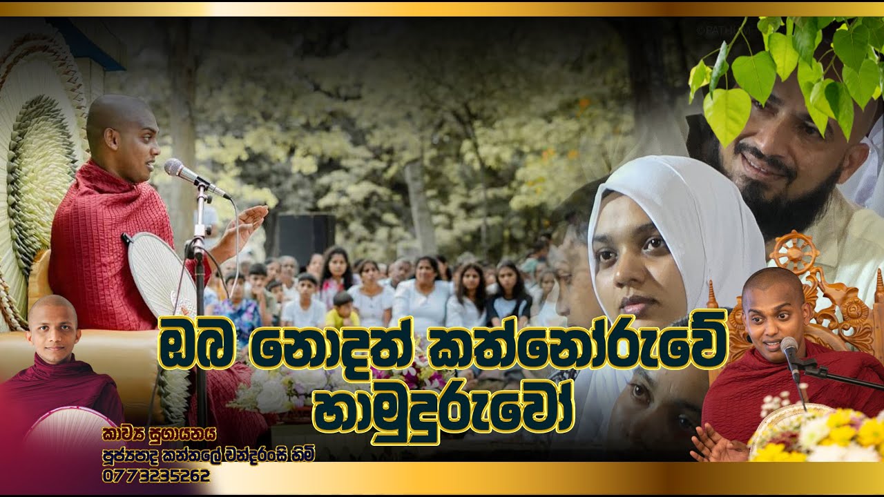 ඔබ නොදත් කත්නොරුවේ හාමුදුරුවෝ  #කත්නොරුවේහමුදුරුවෝ #publicvide #kathnoruwesiridhammathero#viralvideo
