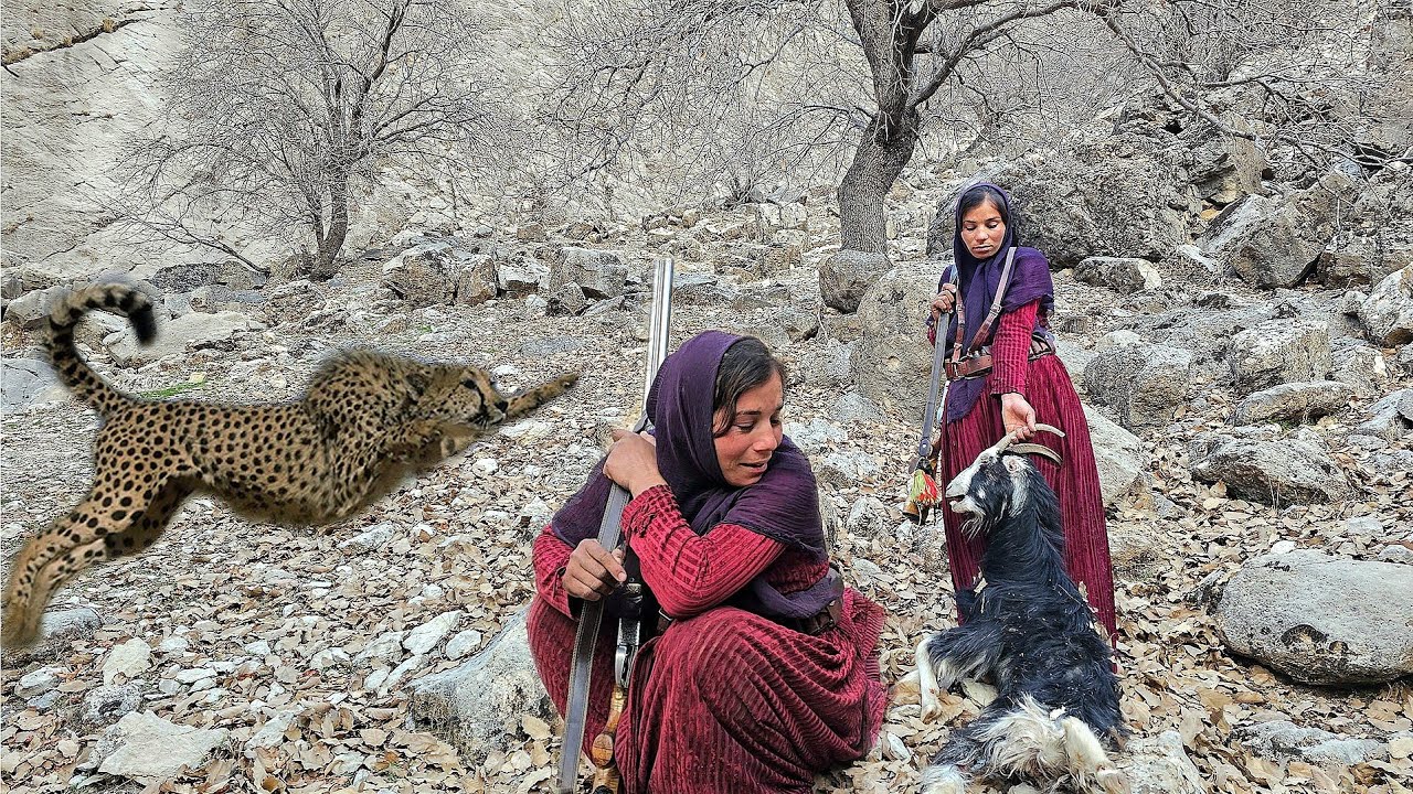 😢 Tragic incident: Hunting goats of a nomadic family by leopards in Zagros mountains 🐾