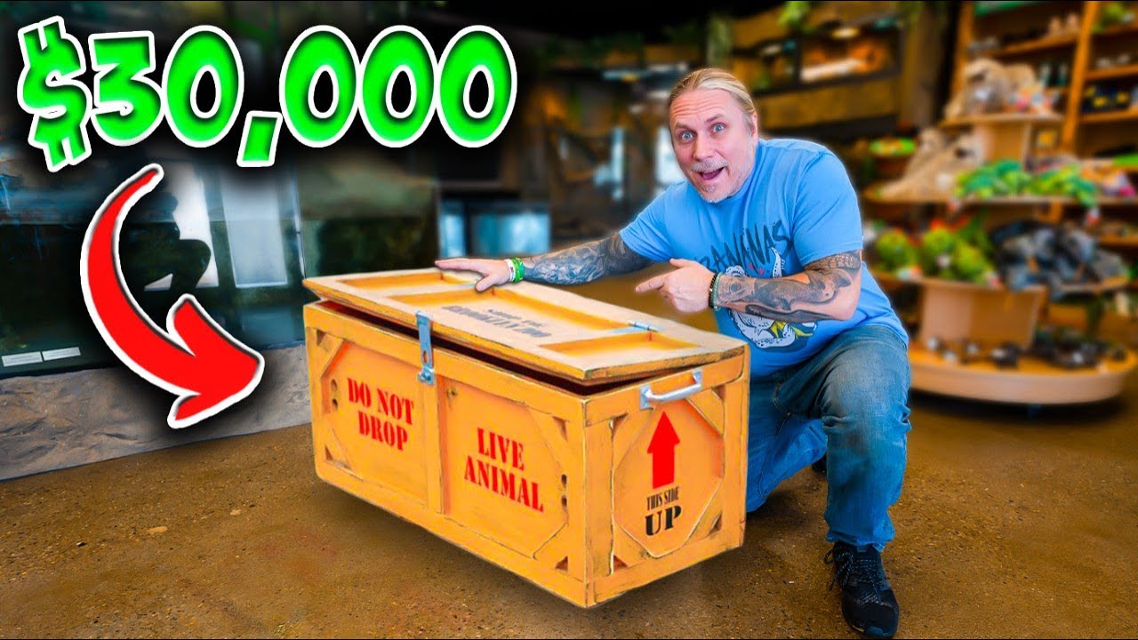 I Bought $30,000 of Snakes! They Just Arrived!