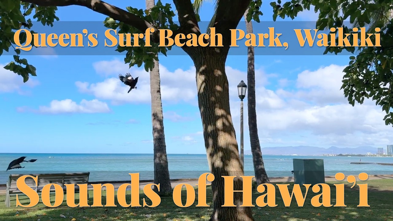 ASMR Queens Surf Beach Park