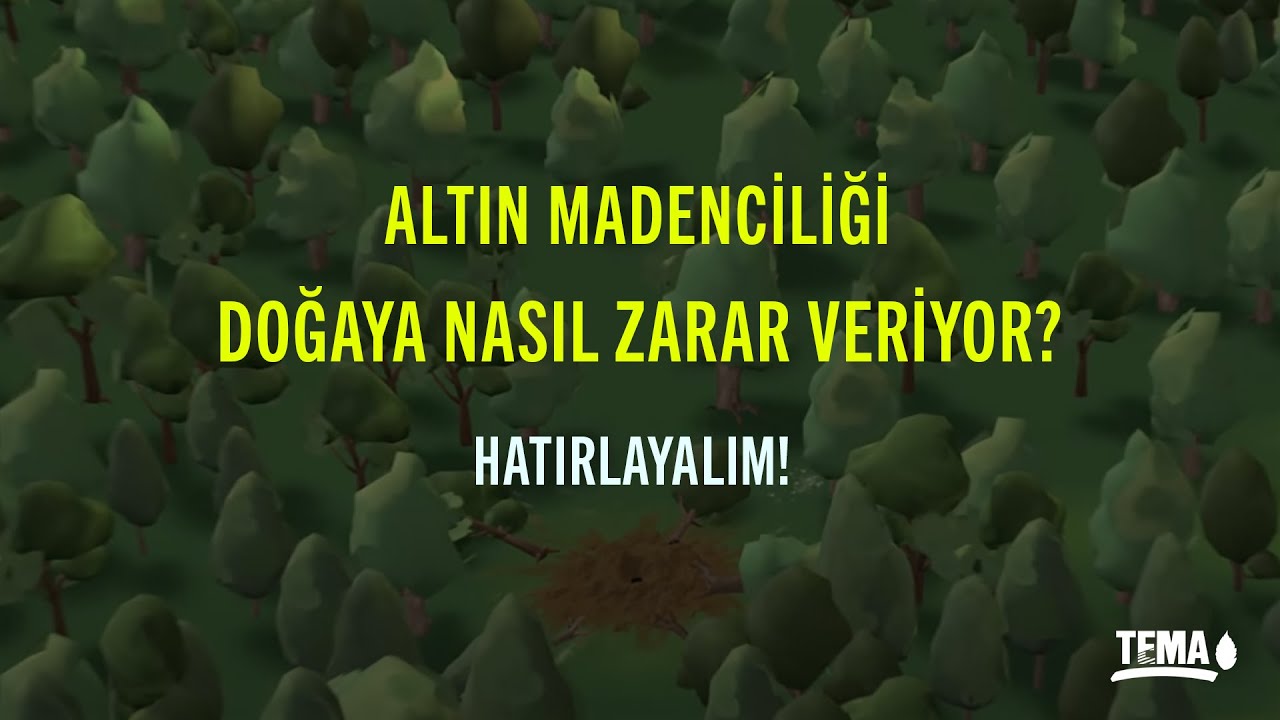 Altın Madenciliği Hakkında Anlatacaklarımız Var ❗